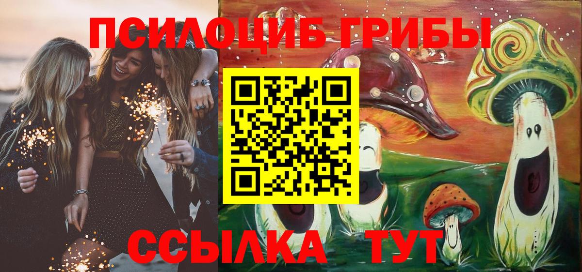 Галлюциногенные грибы Psilocybine cubensis Глазов